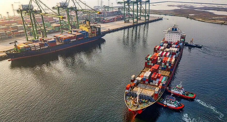gulf export Agent